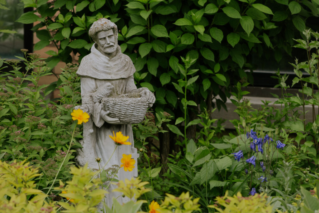 My Catholic Faith | Issue #74